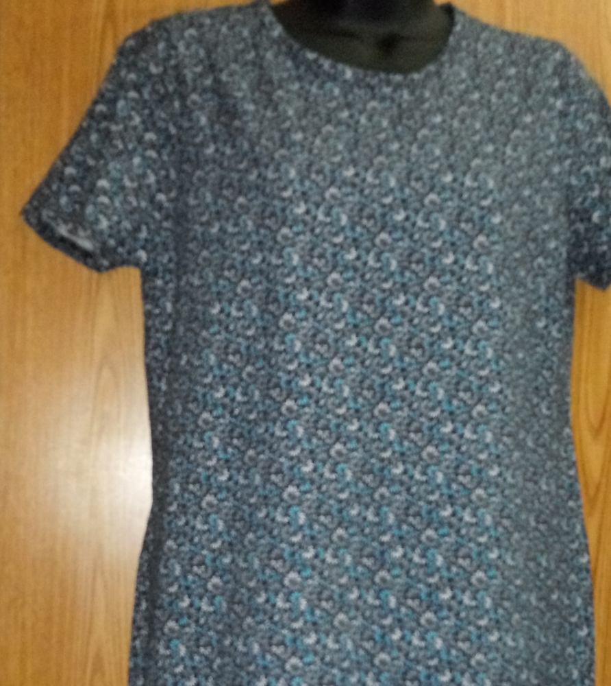 Dress (NWOT)
